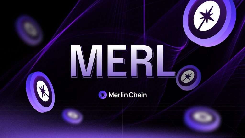 MERL 价格预测