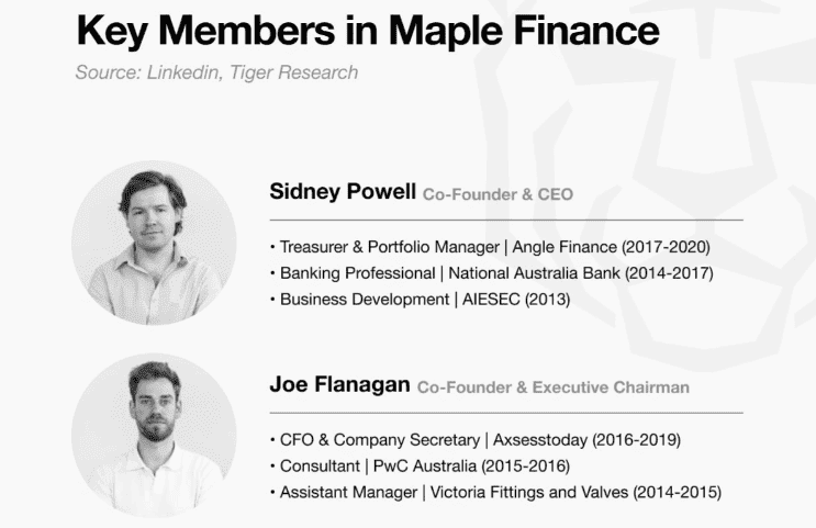 Maple Finance 开发团队和融资