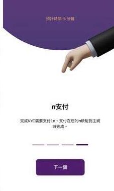 Pi Network KYC 完整图文教学_图8
