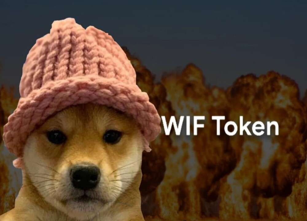 迷因币市值排行:最受欢迎的 meme 币有哪些?_图15