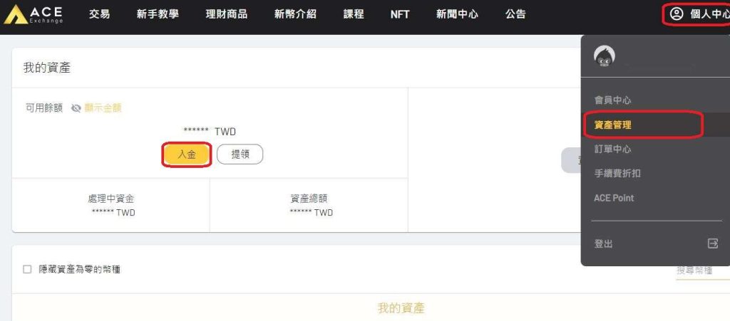 ACE 交易所新台币出金与入金操作指南_图4