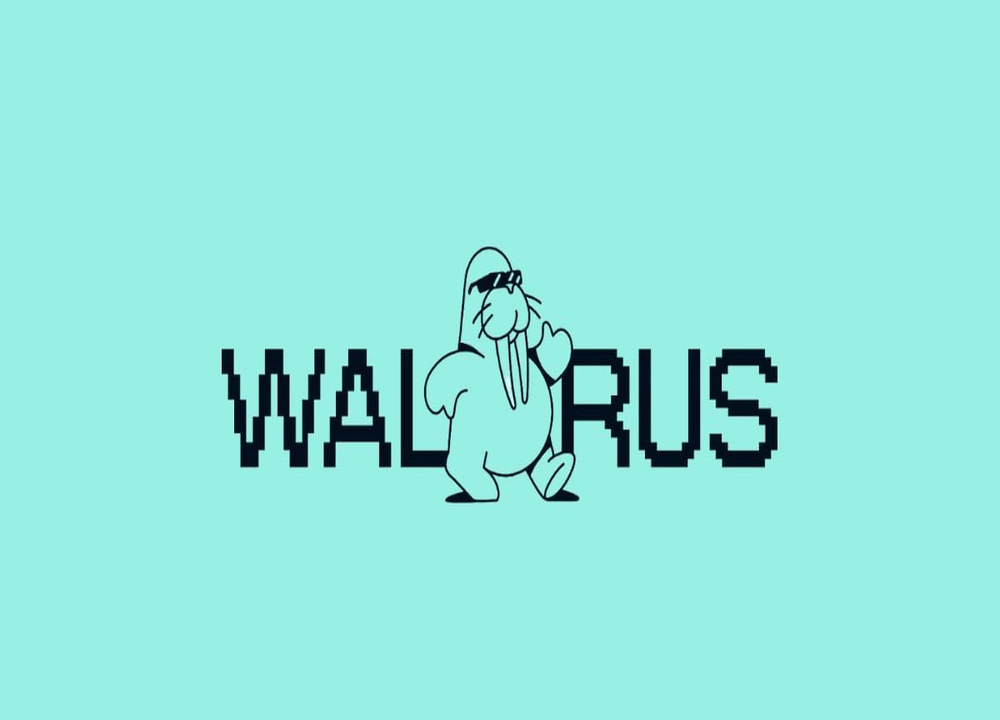 Walrus去中心化存储协议深度解析：WAL代币经济与空投教程