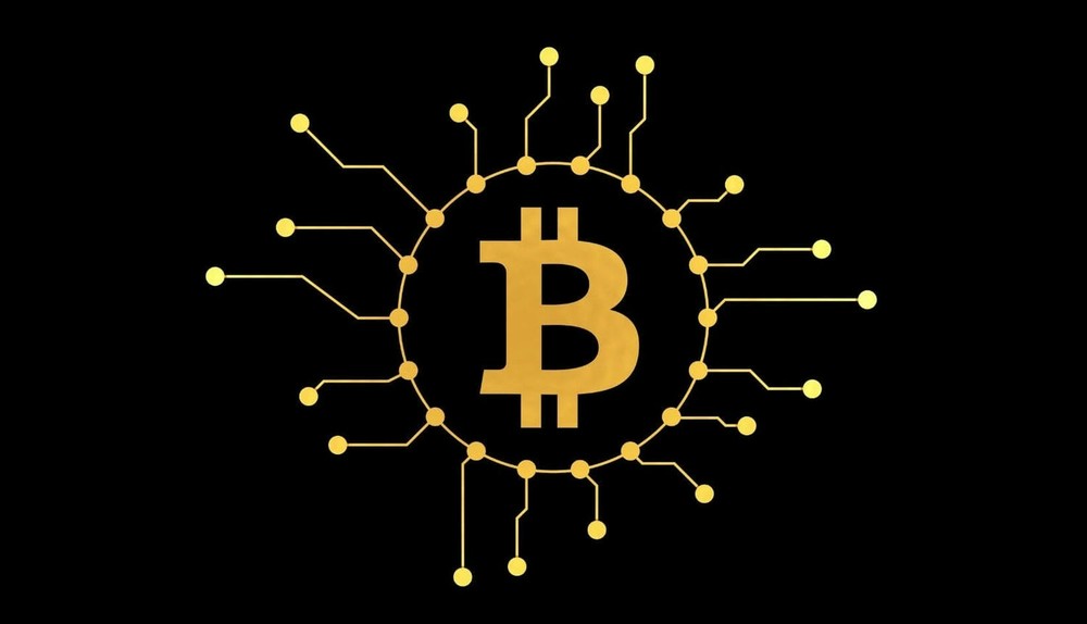 前10大比特币BTC现货ETF详解_图11