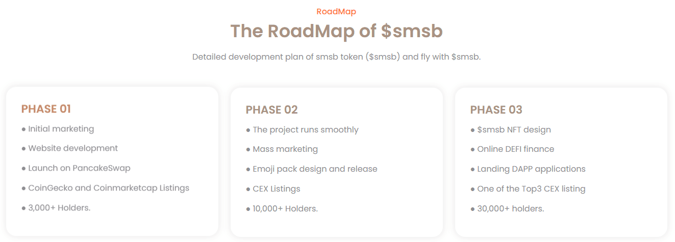 SMSB 路线图