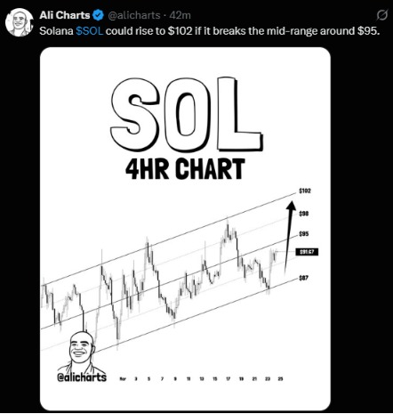Solana价格预测:杯柄形态能否推动SOL涨至500美元?