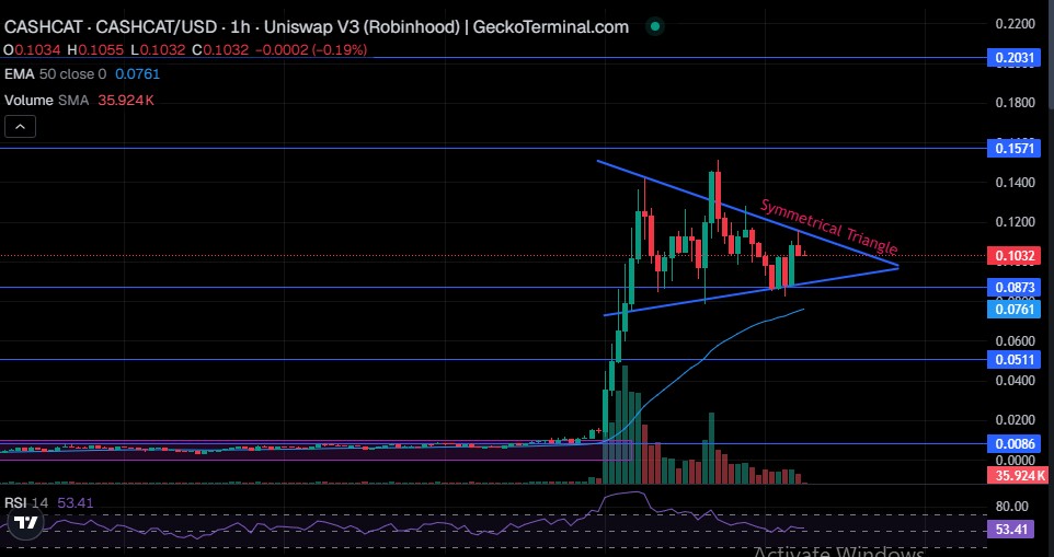 $CASHCAT 技术价格分析显示突破决策点正在形成。