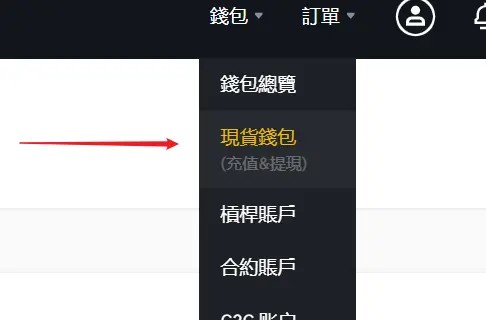 从币安网站取得汇款资讯_图2