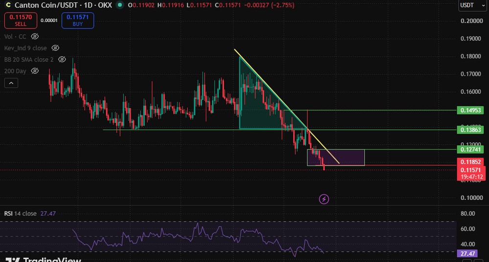 日线图揭示了 Canton Coin 的整体走势吗?