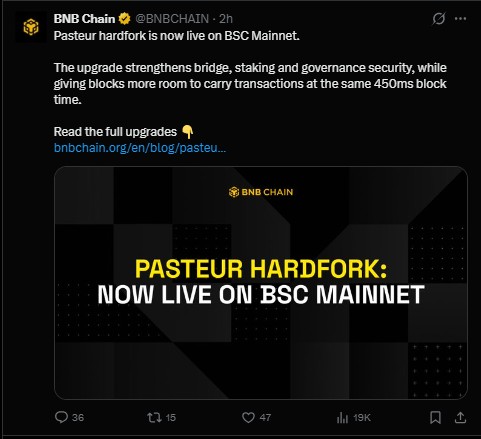 BNB 链新闻：巴斯德硬叉上线