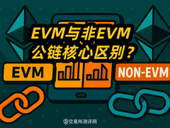 EVM与非EVM公链终极指南:新手选链必读,避开Gas陷阱与跨链风险