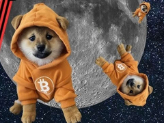 Dog (Bitcoin) (DOG) 深度解析：比特币符文协议下的迷因币新星