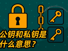 加密货币核心机密：公钥与私钥完全解析，掌握你的数字资产命脉