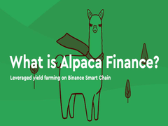 Alpaca Finance从百倍杠杆到归零启示录：2026年DeFi投资者必读防骗指南