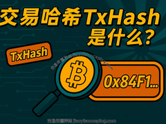 交易哈希TxHash是什么？怎么查询？加密货币查账教程