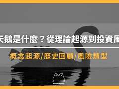 黑天鹅事件是什么意思？三大特征与历史案例，投资者如何应对不可预测的风险？
