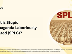 SPLC政治迷因币是什么?怎么买?风险有多高?2024最新分析