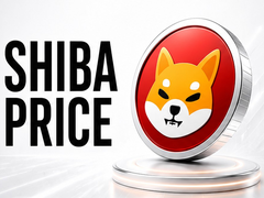 SHIB价格预测2026年最新分析 Pepeto预售怎么买 模因币投资哪个好
